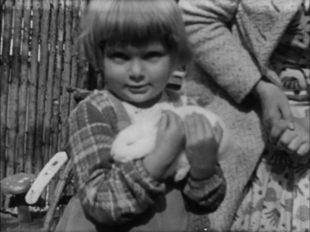 Et lille Besøg hos Familien Soya